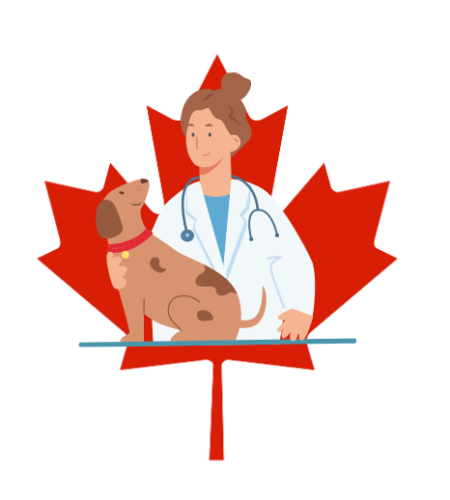 kak-stat-veterinarom-v-kanade